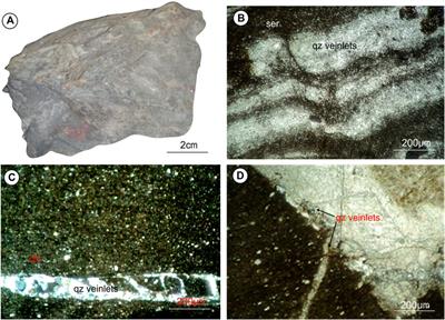 Origin and Characteristics of the Shwetagun Deposit, Modi Taung-Nankwe Gold District and the Kunzeik and Zibyaung Deposits, Kyaikhto Gold District in Mergui Belt, Myanmar: Implications for Fluid Source and Orogenic Gold Mineralization